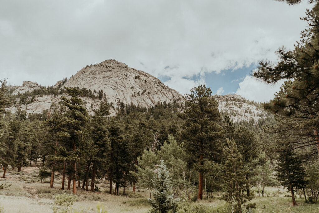 Della Terra Mountain Chateau Landscape