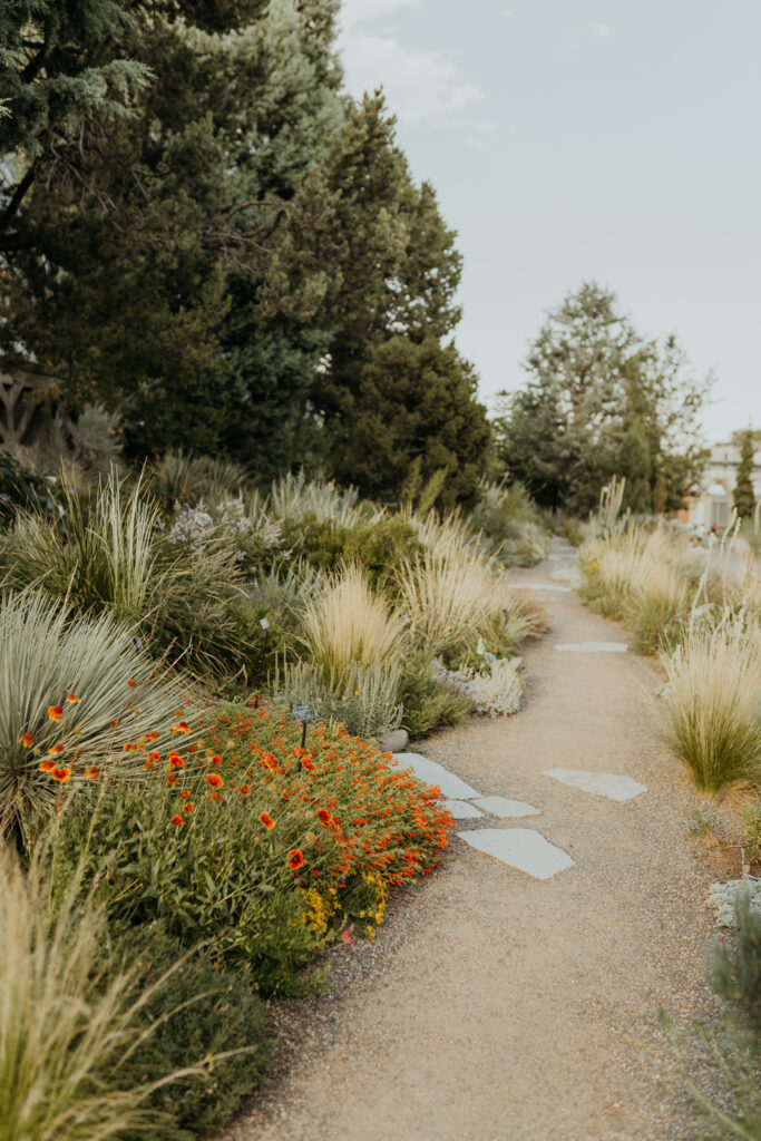 One of my favorite hidden scenic locations at the Denver Botanic Gardens Wedding Venue