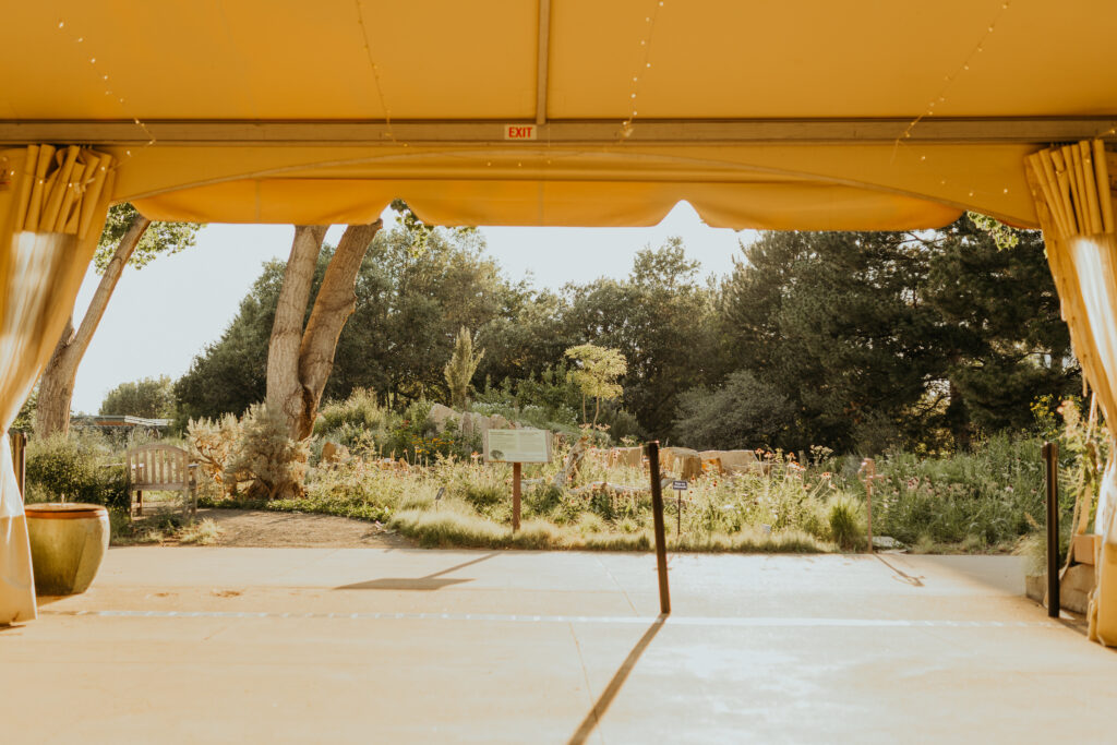 Looking out from inside the tent at Denver Botanic Garden's York Street Garden