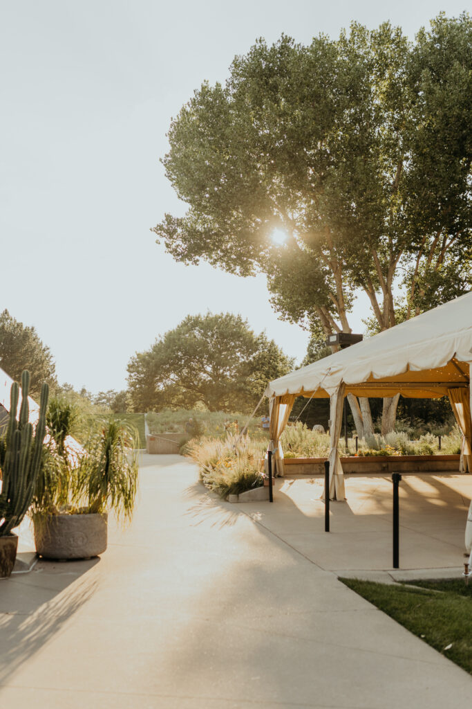 Sunset behind the tent at Denver Botanic Garden's York Street Garden