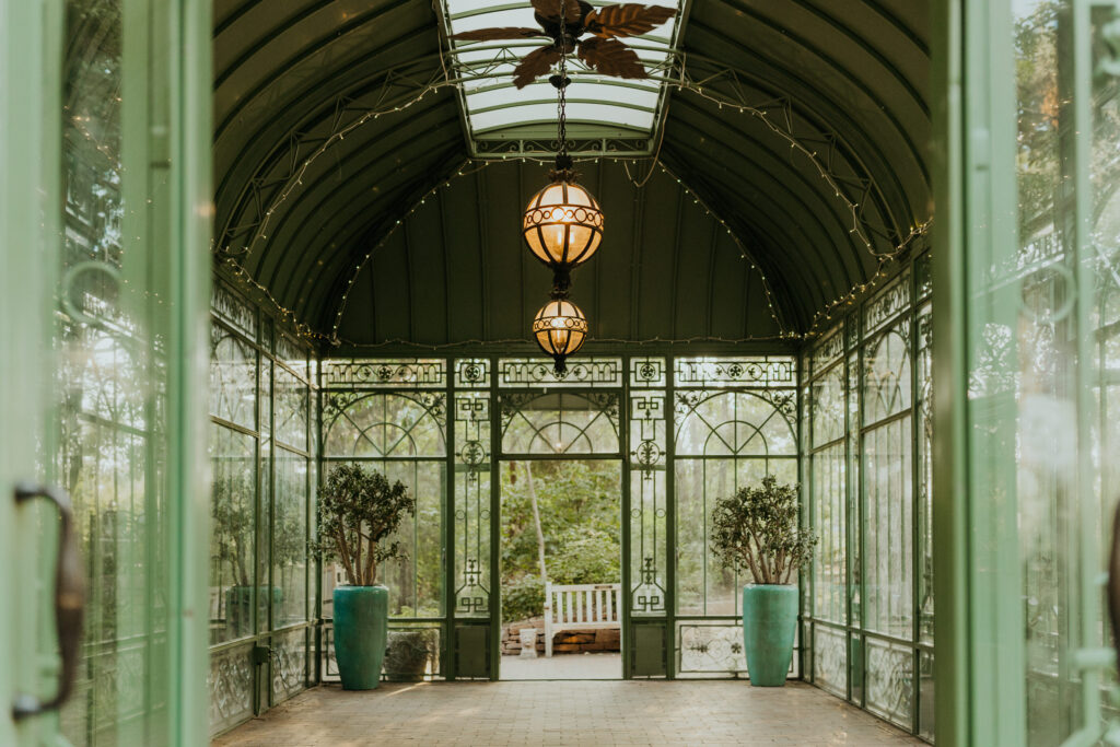 Woodland Mosaic in the Summer