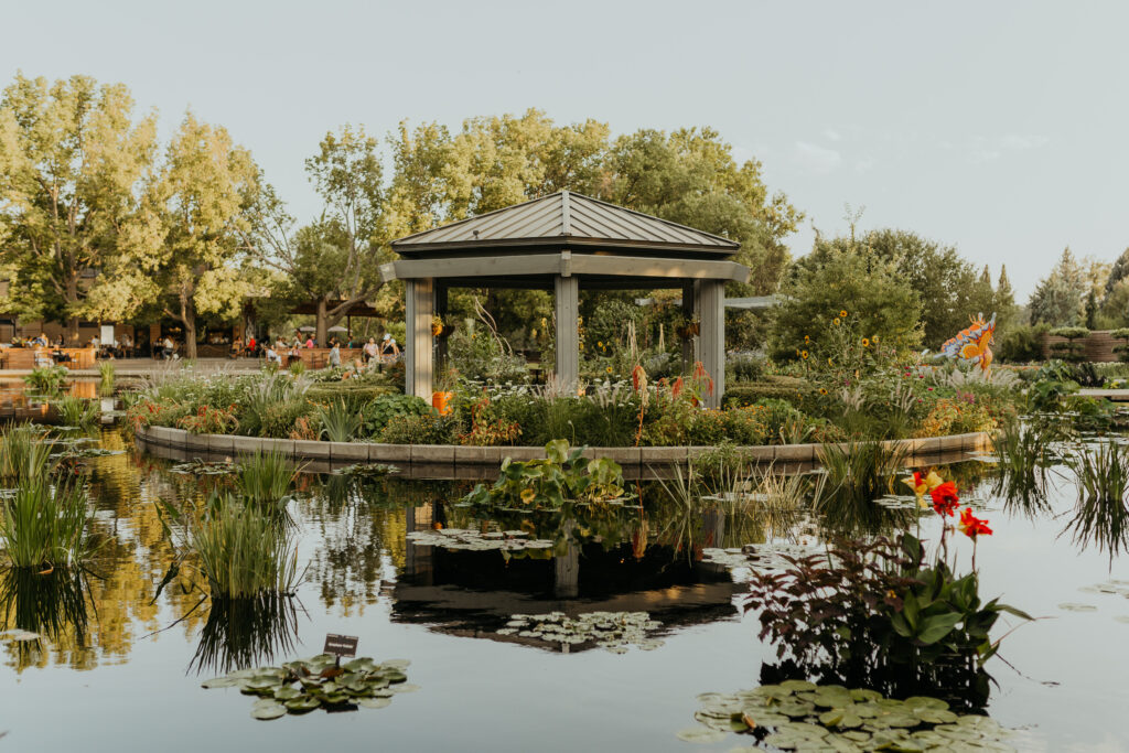 Denver Botanic Gardens Waterside Gazebo at sunset in the summer