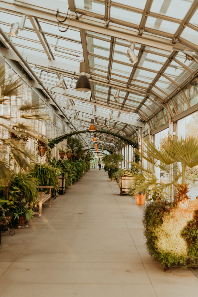 Inside the Orangery at the Denver Botanic Gardens at Sunset in the Summer