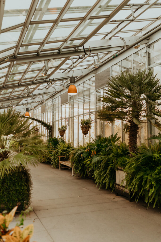 Inside the Orangery at the Denver Botanic Gardens